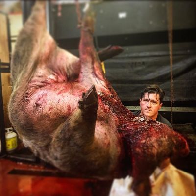 32121678_197728920872875_993973148758048768_n